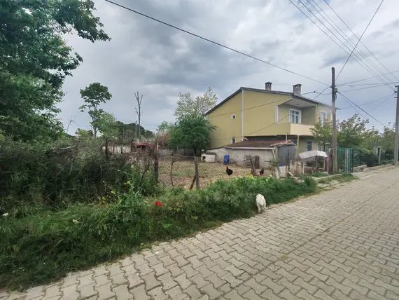 İlan Görseli 2