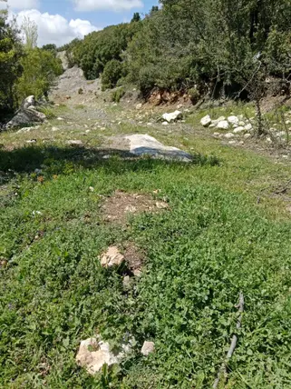 İlan Görseli 2