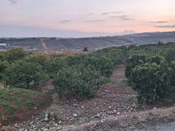İlan Görseli 2
