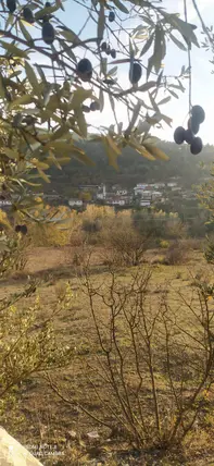 İlan Görseli 2