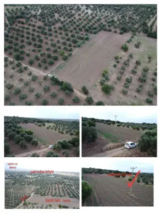 İlan Görseli 3