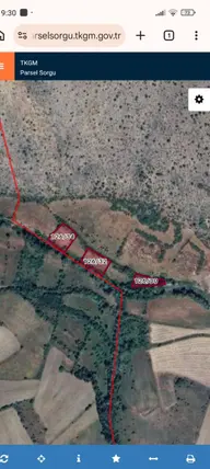 İlan Görseli 2