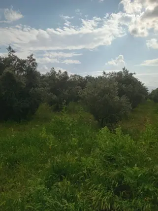 İlan Görseli 2