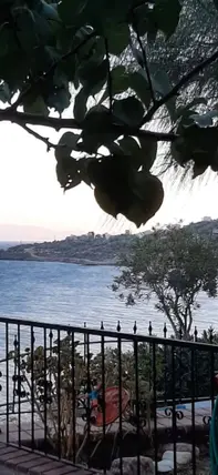 İlan Görseli 3
