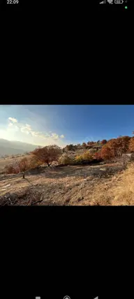 İlan Görseli 3