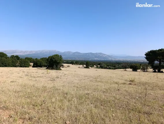 Denizli Tavas Kızılcabölük Mahallesi 49.900 m² satılık tarla arsa - Fotoğraf 2