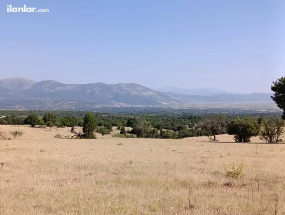 Denizli Tavas Kızılcabölük Mahallesi 49.900 m² satılık tarla arsa - Fotoğraf 3