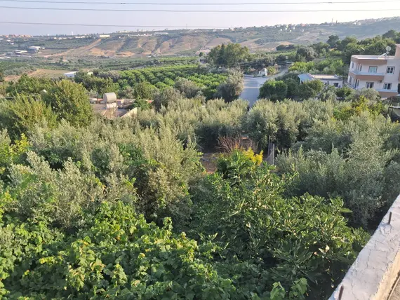 İlan Görseli 2