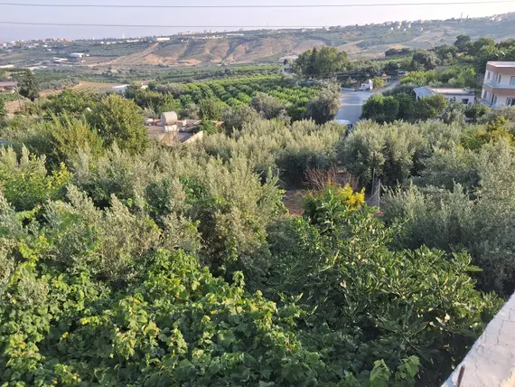İlan Görseli 3