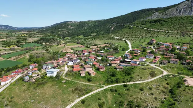 İlan Görseli 3