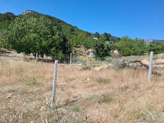 İlan Görseli 3