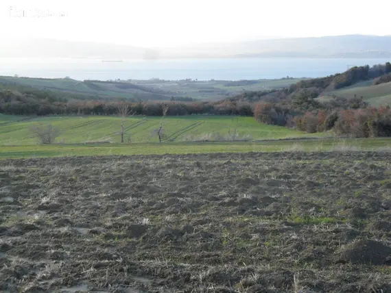Çanakkale Lapseki Suluca Köyü Mahallesi 14.000 m² satılık tarla arsa - Fotoğraf 2