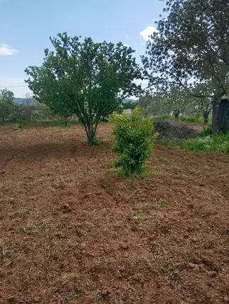 İlan Görseli 2