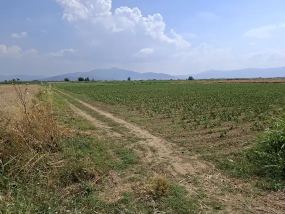İlan Görseli 2