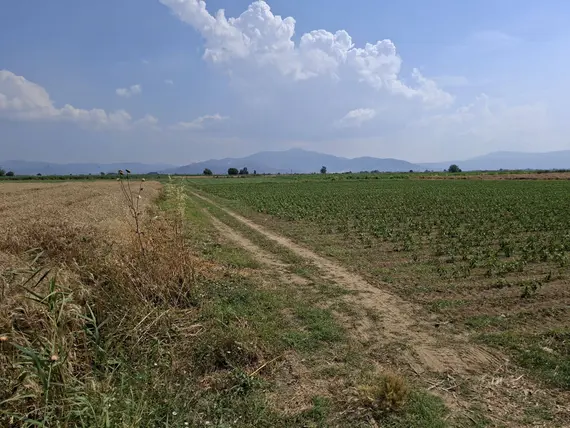 İlan Görseli 3