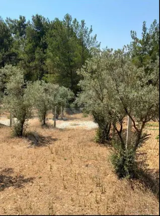 İlan Görseli 2