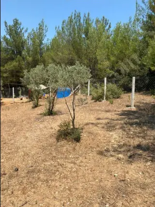 İlan Görseli 3