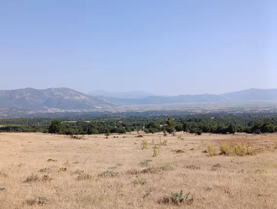 İlan Görseli 2
