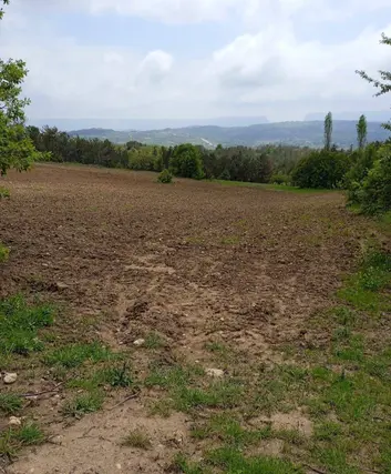 İlan Görseli 3