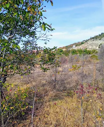 İlan Görseli 2