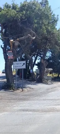 İzmir Urla Kuşçular Mahallesi 10.913 m² satılık tarla arsa - Fotoğraf 2