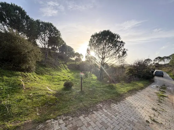 Muğla Kavaklıdere Kurucuova Mahallesi 1.356 m² satılık arazi arsa - Fotoğraf 3