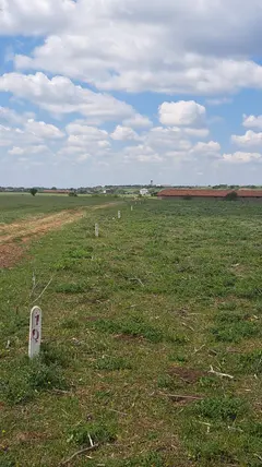 Kırklareli Lüleburgaz Ahmetbey, Dere Mahallesi 505 m² satılık tarla arsa - Fotoğraf 2