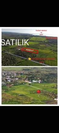 Çanakkale Ezine Çamoba Köyü Mahallesi 4.000 m² satılık tarla arsa - Fotoğraf 2