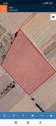 Aksaray Merkez Baymış Köyü Mahallesi 18.482 m² satılık tarla arsa - Fotoğraf 2