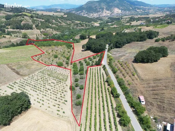 Sakarya Geyve Çukurköy Mahallesi 24.000 m² satılık bağ & Bahçe arsa - Fotoğraf 2