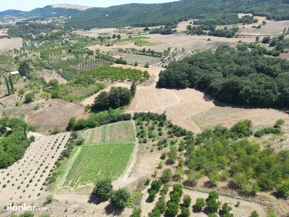 Sakarya Geyve Çukurköy Mahallesi 24.000 m² satılık bağ & Bahçe arsa - Fotoğraf 3