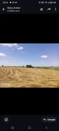Tekirdağ Saray Çukuryurt Mahallesi 5.000 m² satılık tarla arsa - Fotoğraf 2