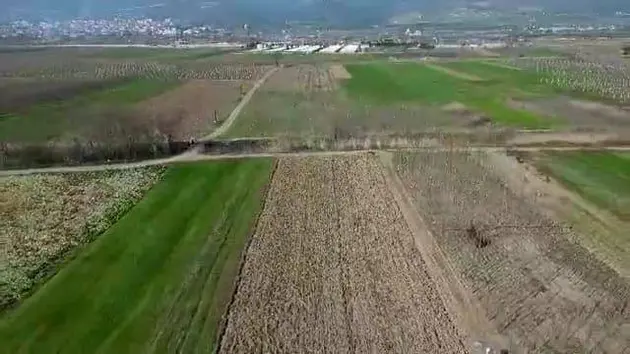 Sakarya Pamukova Cihadiye Mahallesi 2.593 m² kiralık tarla arsa - Fotoğraf 2