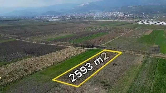 Sakarya Pamukova Cihadiye Mahallesi 2.593 m² kiralık tarla arsa - Fotoğraf 3