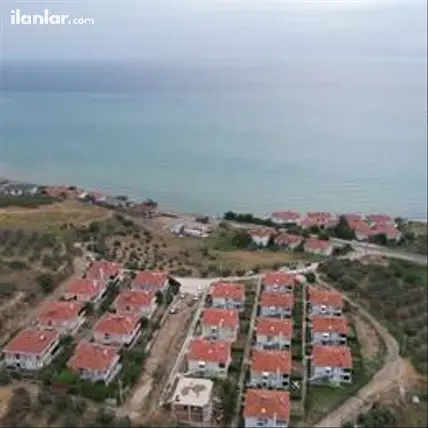 Tekirdağ Şarköy Hoşköy Mahallesi 8.000 m² satılık zeytinlik arsa - Fotoğraf 3