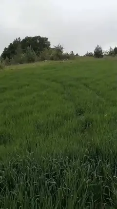 Bursa Orhaneli Akalan Mahallesi 8.000 m² satılık muhtelif Arsa arsa - Fotoğraf 2