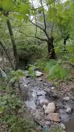 Bursa Orhaneli Akalan Mahallesi 8.000 m² satılık muhtelif Arsa arsa - Fotoğraf 3