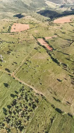 Manisa Kula Gökçeören Mahallesi 22.470 m² satılık tarla arsa - Fotoğraf 3