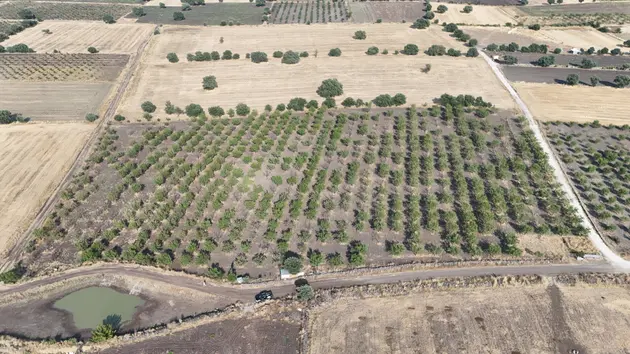 Manisa Kula İbrahimağa Mahallesi 25.650 m² satılık tarla arsa - Fotoğraf 3