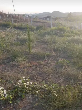 Adana Karaisalı Topaktaş Mahallesi 1.090 m² satılık tarla arsa - Fotoğraf 3