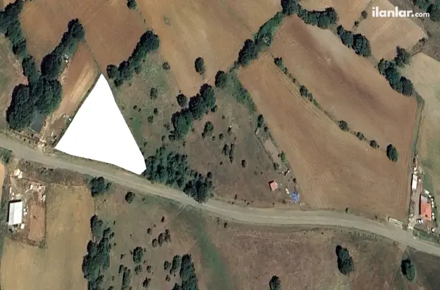 Bilecik Bozüyük Hamidiye Köyü Mahallesi 1.517 m² satılık bağ & Bahçe arsa - Fotoğraf 3