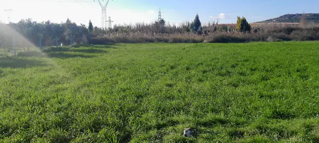 İzmir Torbalı Arslanlar Mahallesi 3.400 m² satılık arazi arsa - Fotoğraf 3