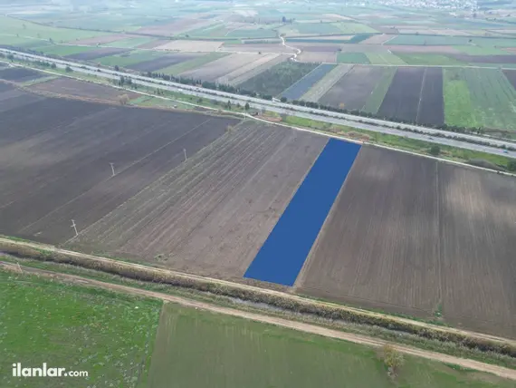 İzmir Torbalı Yeniköy Mahallesi 3.286 m² satılık tarla arsa - Fotoğraf 2