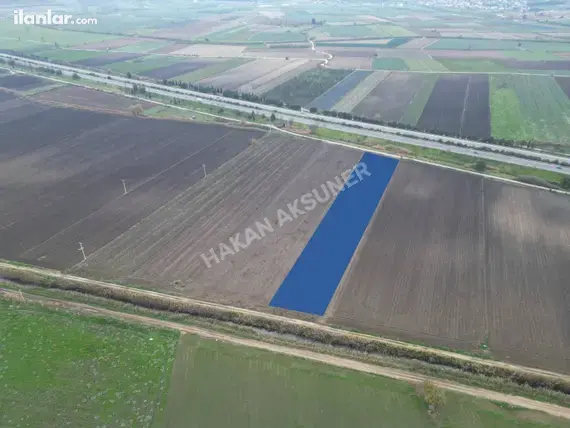 İzmir Torbalı Yeniköy Mahallesi 3.286 m² satılık tarla arsa - Fotoğraf 2