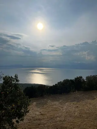 Isparta Gelendost Yeşilköy Köyü Mahallesi 6.092 m² satılık tarla arsa - Fotoğraf 3