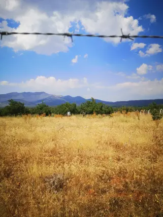 Denizli Tavas Kızılcabölük Mahallesi 25.600 m² satılık tarla arsa - Fotoğraf 2