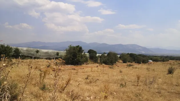 Denizli Tavas Kızılcabölük Mahallesi 25.600 m² satılık tarla arsa - Fotoğraf 3