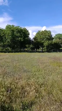 Denizli Tavas Kızılcabölük Mahallesi 3.195 m² satılık tarla arsa - Fotoğraf 2
