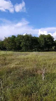 Denizli Tavas Kızılcabölük Mahallesi 3.195 m² satılık tarla arsa - Fotoğraf 3