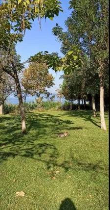 Yalova Armutlu Karşıyaka Mahallesi 98 m² kiralık kiralık - Fotoğraf 2